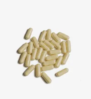 Femina Protect 60 Kapseln – Bild 2